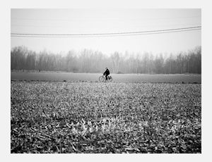 De eenzame Fietser - Harmonie
