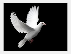 Song of Peace - Fanfare