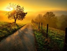 A New Day - Fanfare