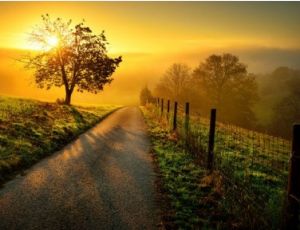 A New Day - Fanfare