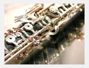 Divertimento for Oboe and Wind Orchestra Opus 9 - Harmonie