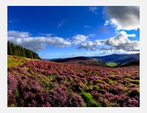 Wicklow Choral - Brassband
