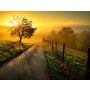 A New Day - Harmonie