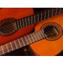 Concerto for Two (amplified) Guitars and Wind Band - Harmonie