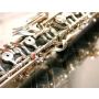 Divertimento for Oboe and Wind Orchestra Opus 9 - Harmonie
