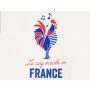 French Fantasy - Brassband