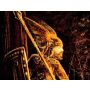 Hagen's Wacht - Harmonie