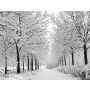 In the Bleak Midwinter - Brassband