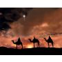 Kerstmars - Fanfare