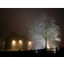 Silent Night - Ensemble