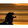 Solitary Prayer - Brassband