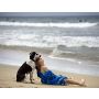 Someone to Watch over Me - Harmonie
