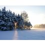 White Christmas - Harmonie