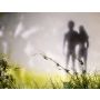 Adams and Eves - Fanfare