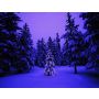 Christmas Snippets - Harmonie