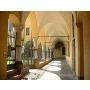 Concentus Claustralis e Soncino - Harmonie
