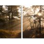 Diptic Symfonic - Harmonie