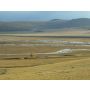 In the Steppes of Central Asia - Harmonie
