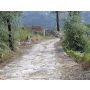 La Strada Romana - Harmonie