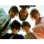 Ruby Tuesday - Harmonie