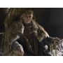 The Fisher King - Harmonie