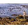 The Lost Lady Found - Fanfare
