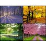 The Seasons - Harmonie