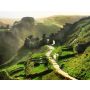 Tintagel - Harmonie