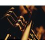 Trompeten-Konzert D-Dur - Harmonie