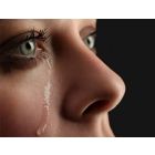 Catharsis - Harmonie