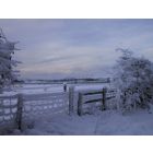 Dutch Christmas Carols - Harmonie