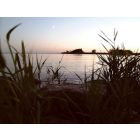 Ferdivedaasje - Harmonie