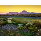 Maori Boat Song - Harmonie