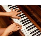 Polka des Sultanes - Harmonie