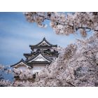 Precious… - Harmonie