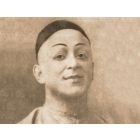 The Mandarin's Son - Harmonie