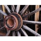 The Wagon Trail - Harmonie