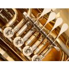 Vergiss Mein Nicht - Harmonie