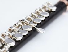 Ballad for Piccolo and Wind Band - Harmonie