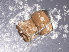 Champagner Galop - Harmonie