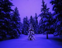 Christmas Snippets - Fanfare