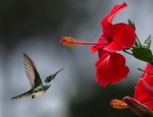 Have a Nice Day - Brassband