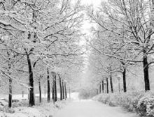 In the Bleak Midwinter - Fanfare