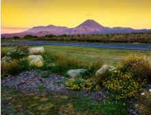 Maori Boat Song - Harmonie