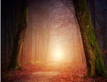 Of Fear and Quiet Hope - Harmonie