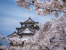 Precious… - Harmonie