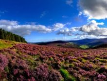 Wicklow Choral - Brassband