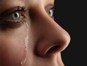 Catharsis - Harmonie