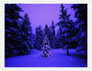 Christmas Snippets - Harmonie