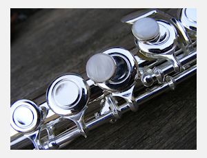 Concerto for Flute and Band - Harmonie